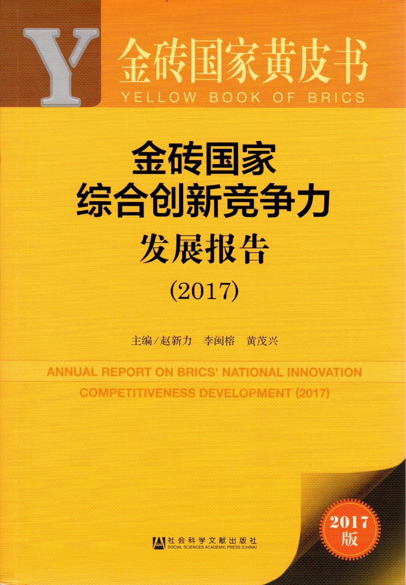 骚逼被大鸡吧狠狠插免费网站金砖国家综合创新竞争力发展报告（2017）